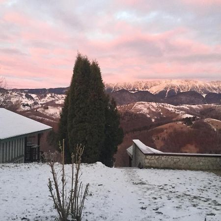 Drumul Carului Villa Moieciu de Jos Esterno foto