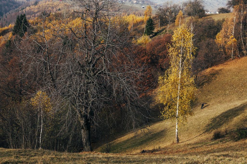 Drumul Carului Villa Moieciu de Jos Esterno foto
