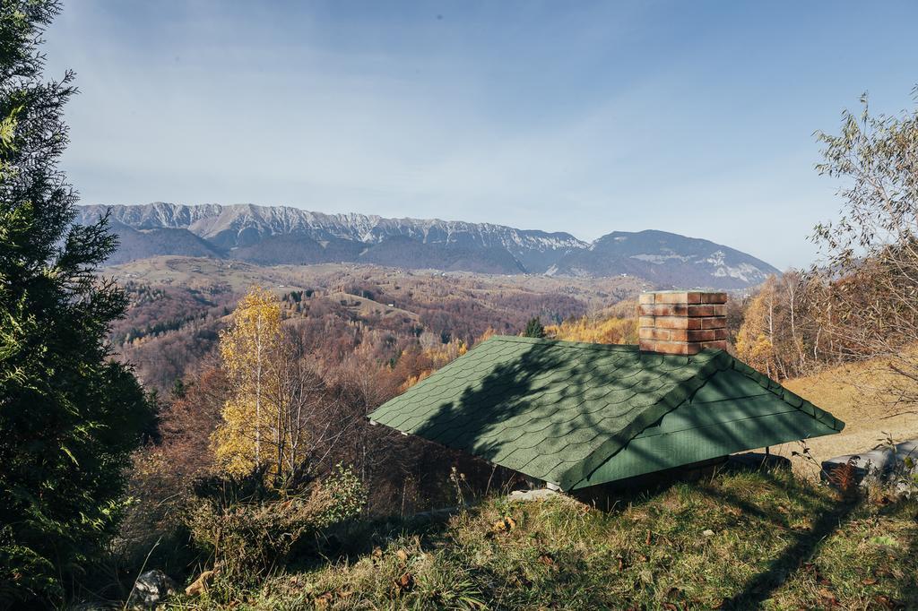 Drumul Carului Villa Moieciu de Jos Camera foto