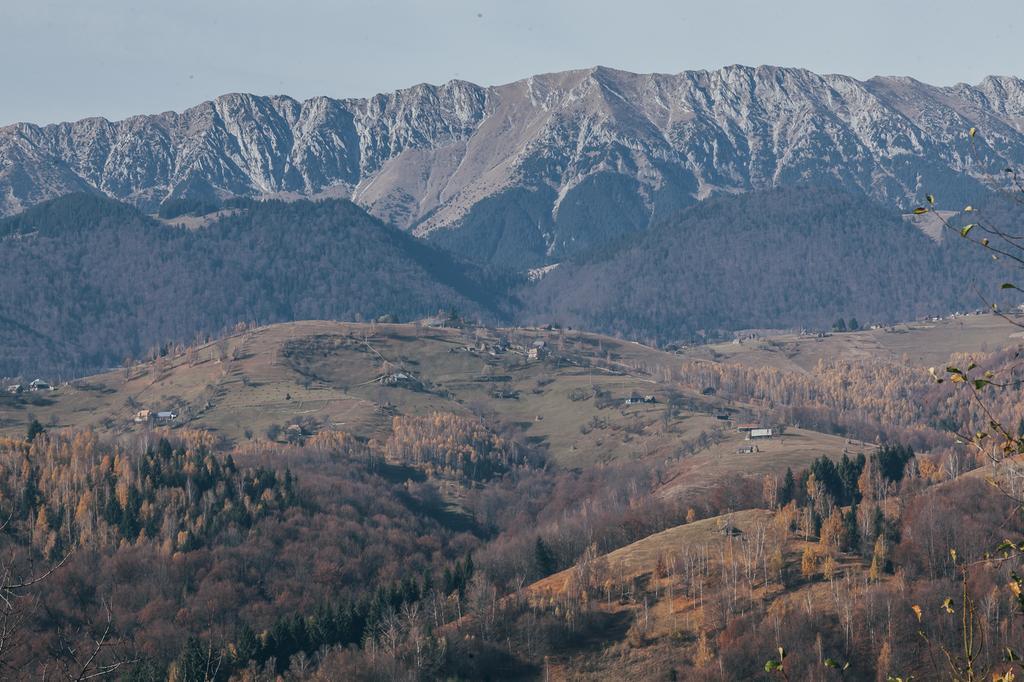 Drumul Carului Villa Moieciu de Jos Camera foto