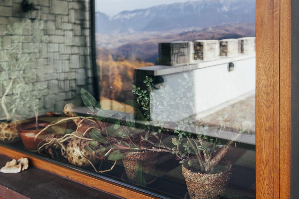 Drumul Carului Villa Moieciu de Jos Esterno foto