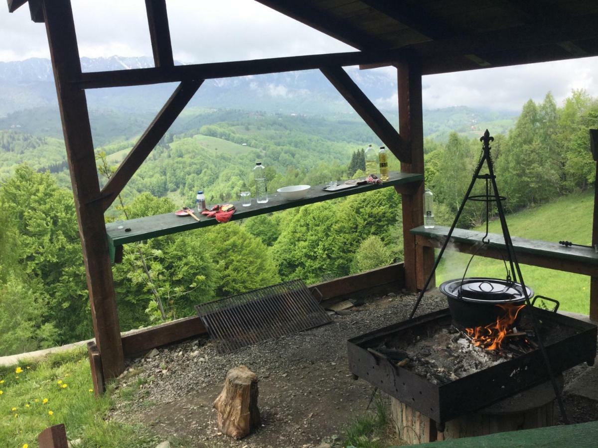 Drumul Carului Villa Moieciu de Jos Esterno foto