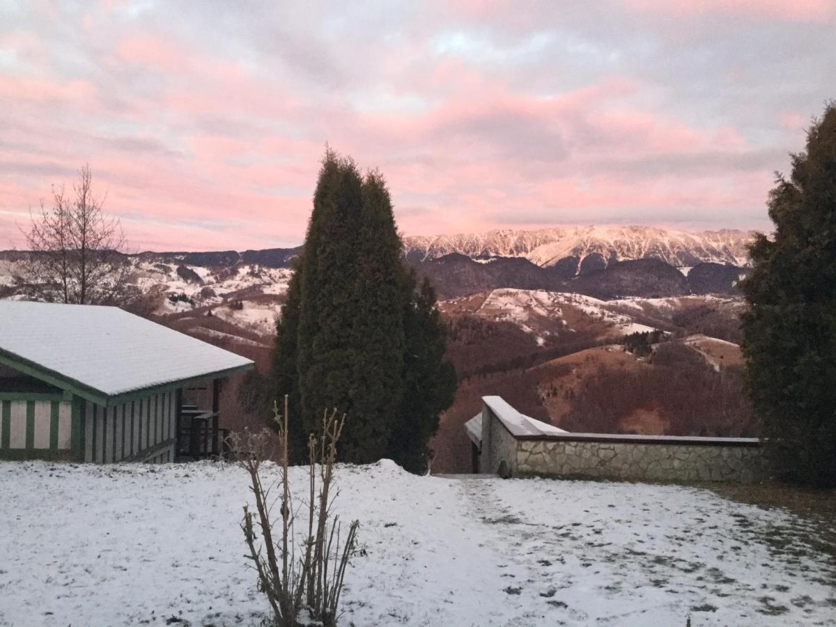 Drumul Carului Villa Moieciu de Jos Esterno foto