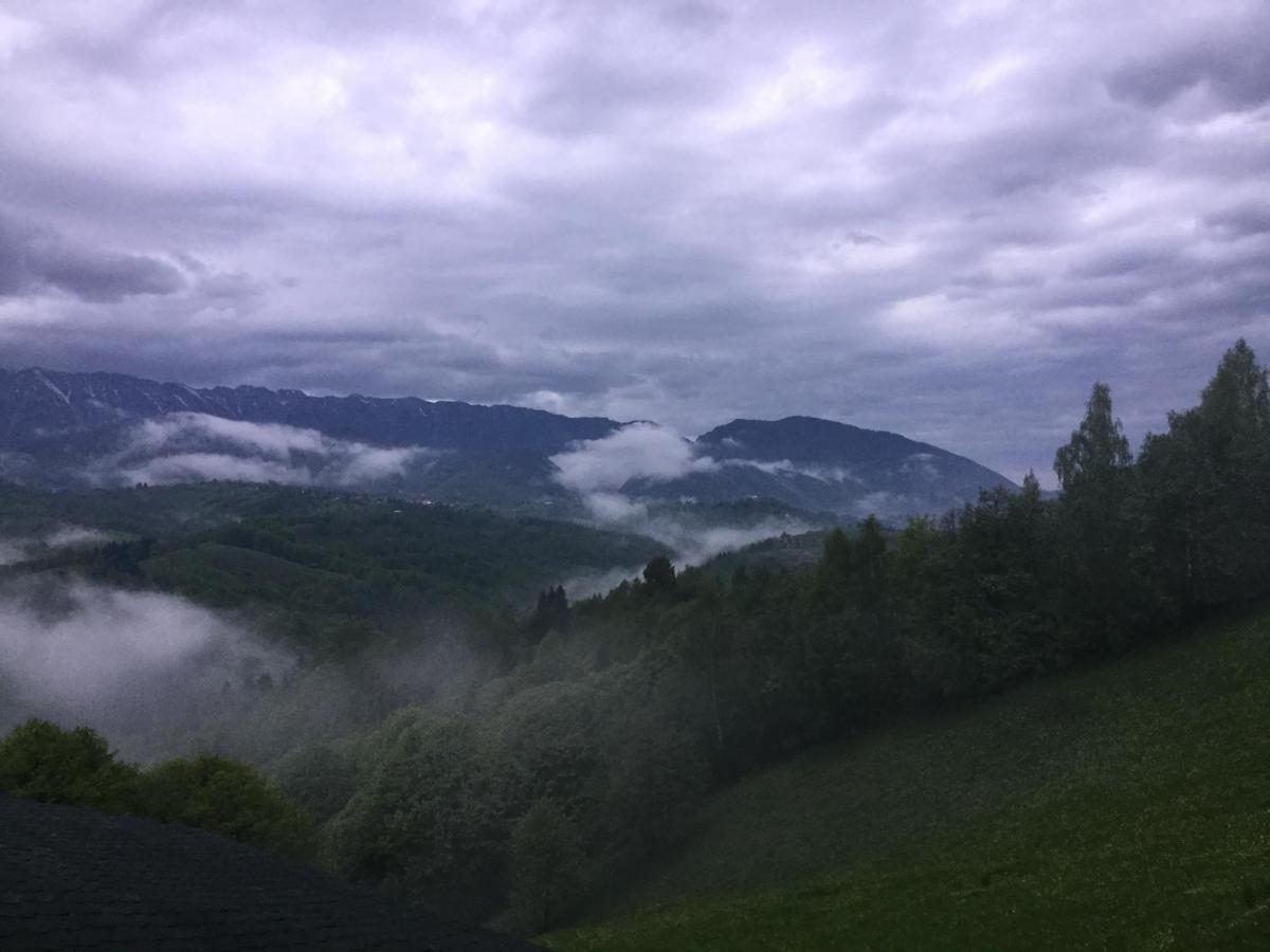Drumul Carului Villa Moieciu de Jos Esterno foto